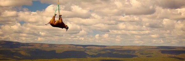 Harchy_'s profile banner image