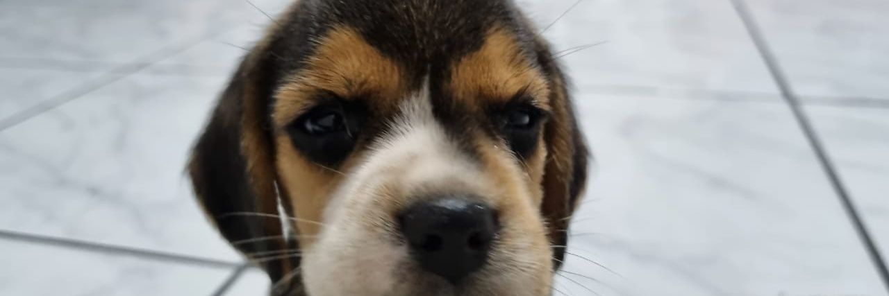 RpdriguesS's profile banner image