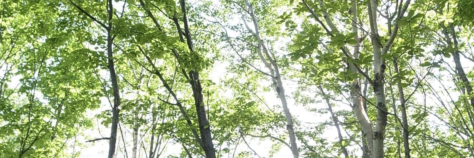 すぎもと組＠技術書典20［か15］ banner