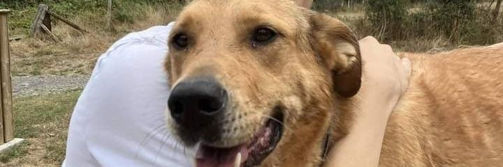 jeremexe's profile banner image