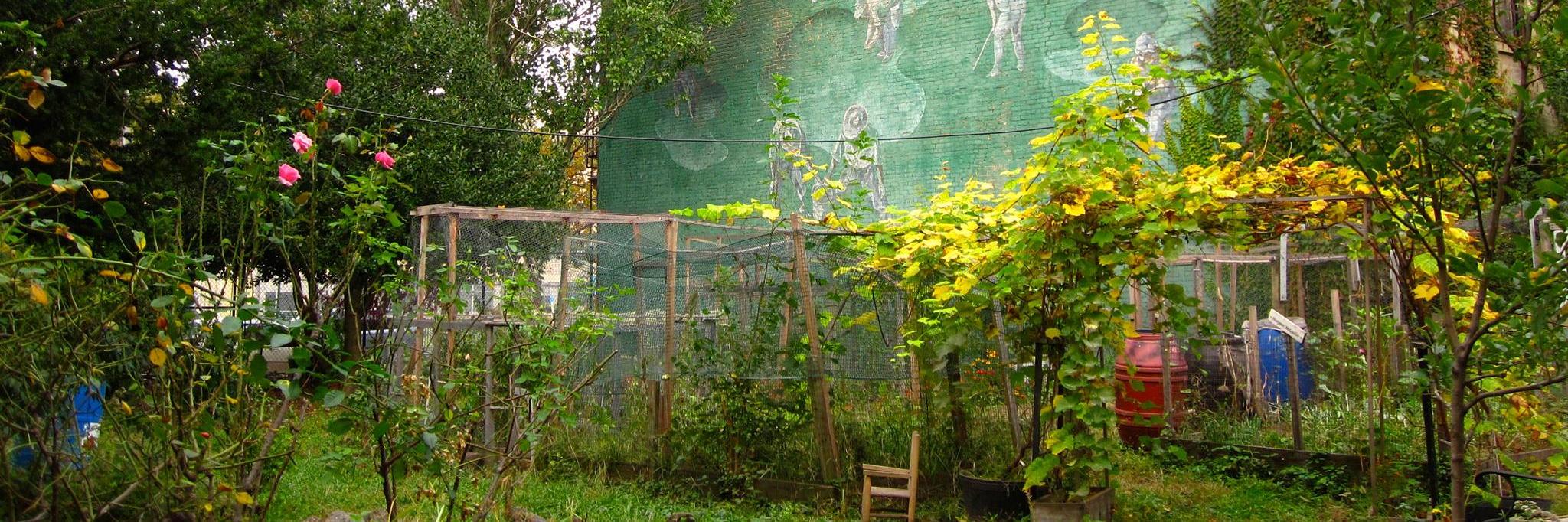 PVCGarden_NYC's profile banner image