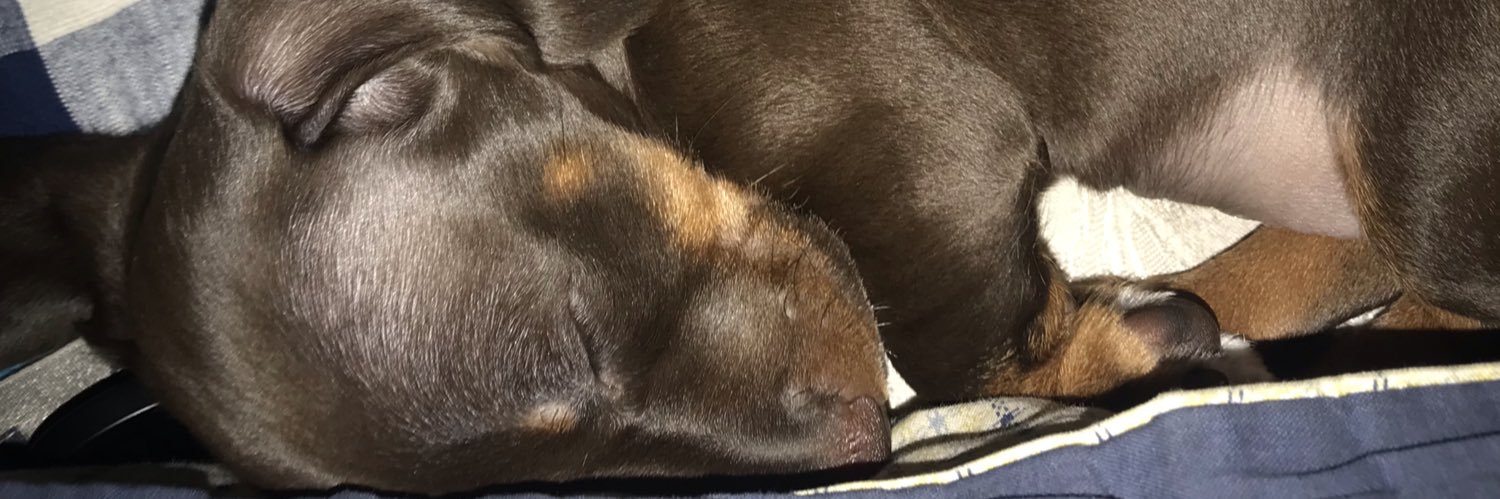 pearlsgee's profile banner image