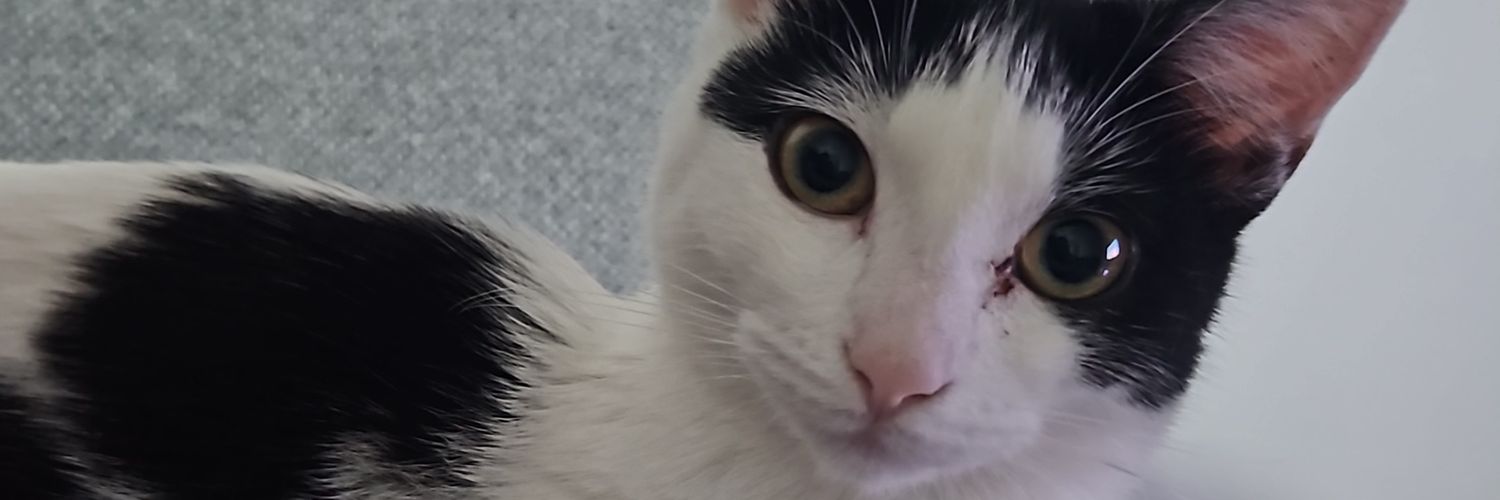 Babycasper90's profile banner image