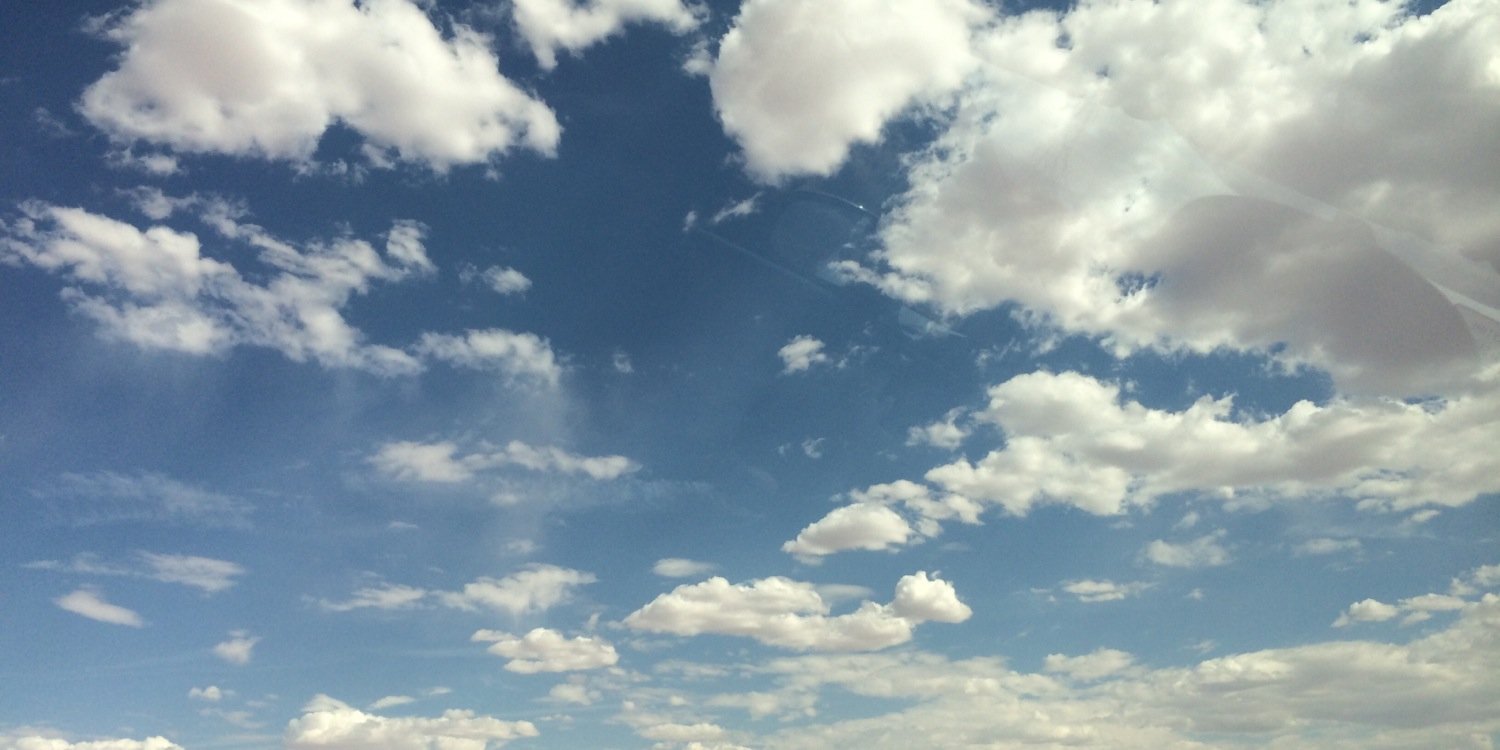 shayminK's profile banner image