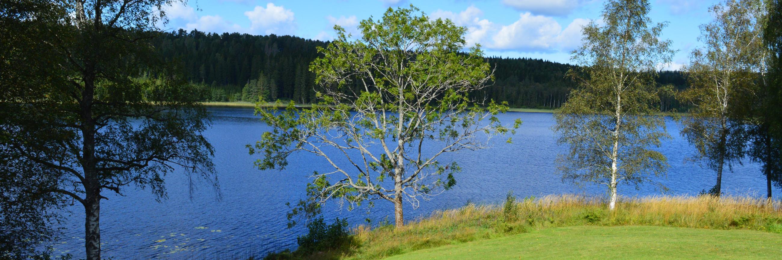 dalslandsstuga's profile banner image