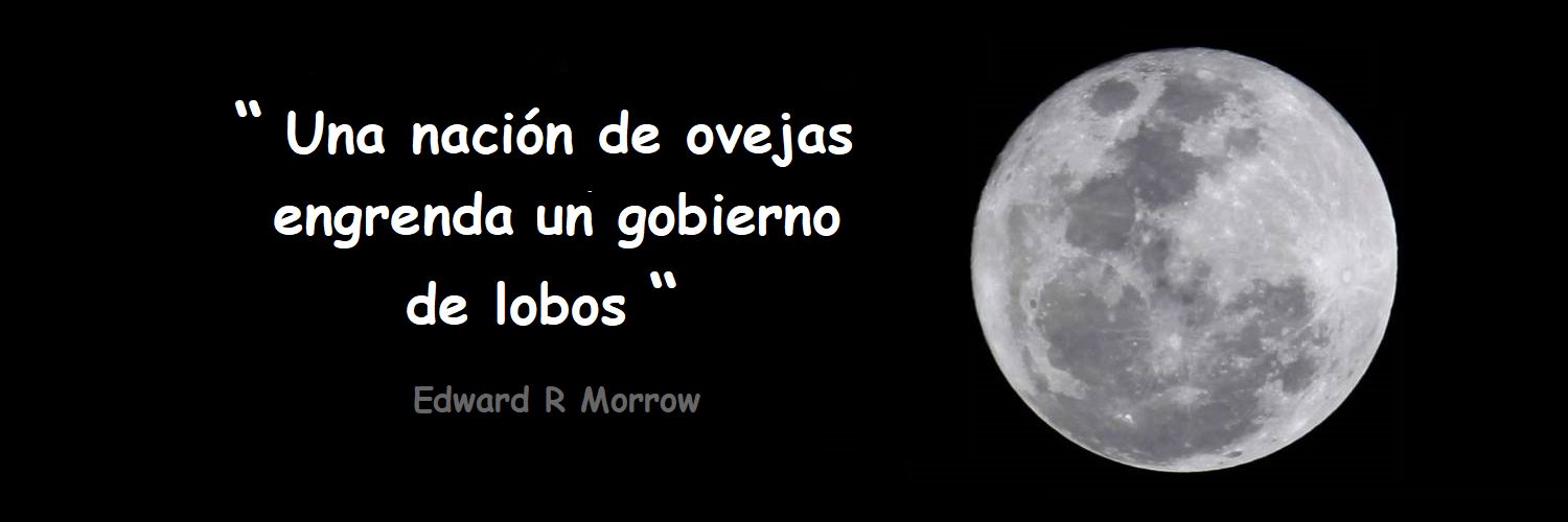 Pedro Vivero Prieto banner