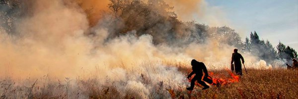 cxadlam Profile Banner