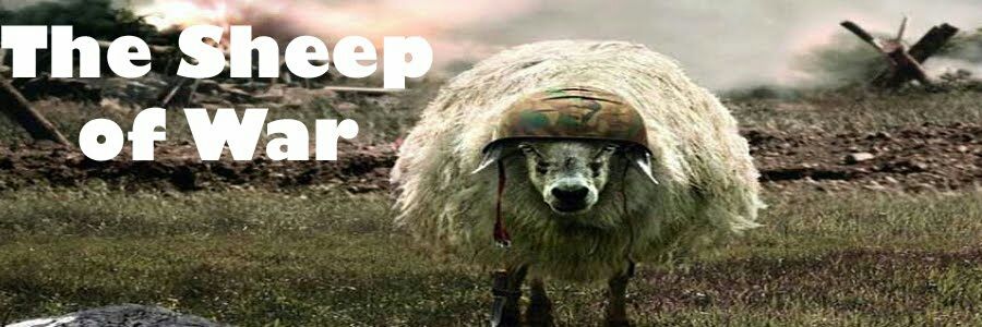mmpeeeeee's profile banner image