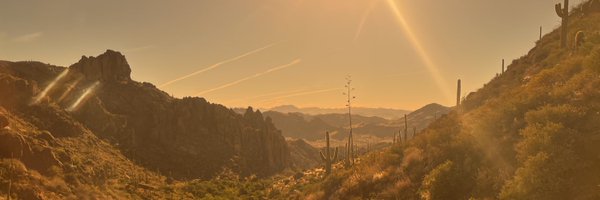 bailleebrown Profile Banner