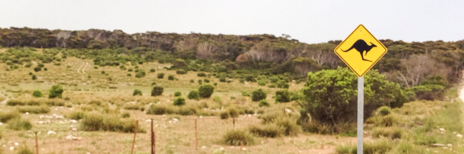DavidMajorca's profile banner image