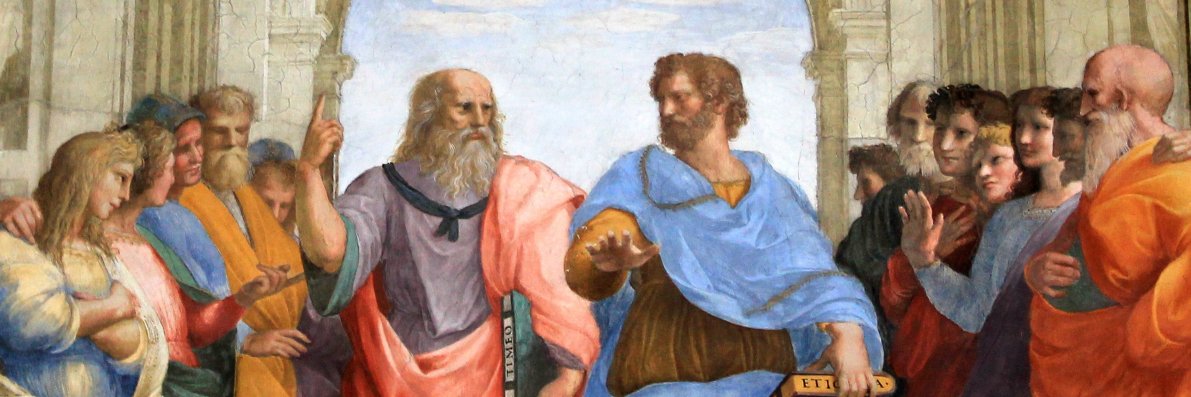 Cerebral Wisdom's banner