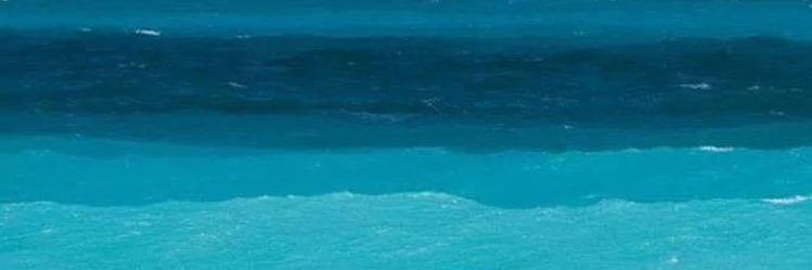 Felicitas Molina banner