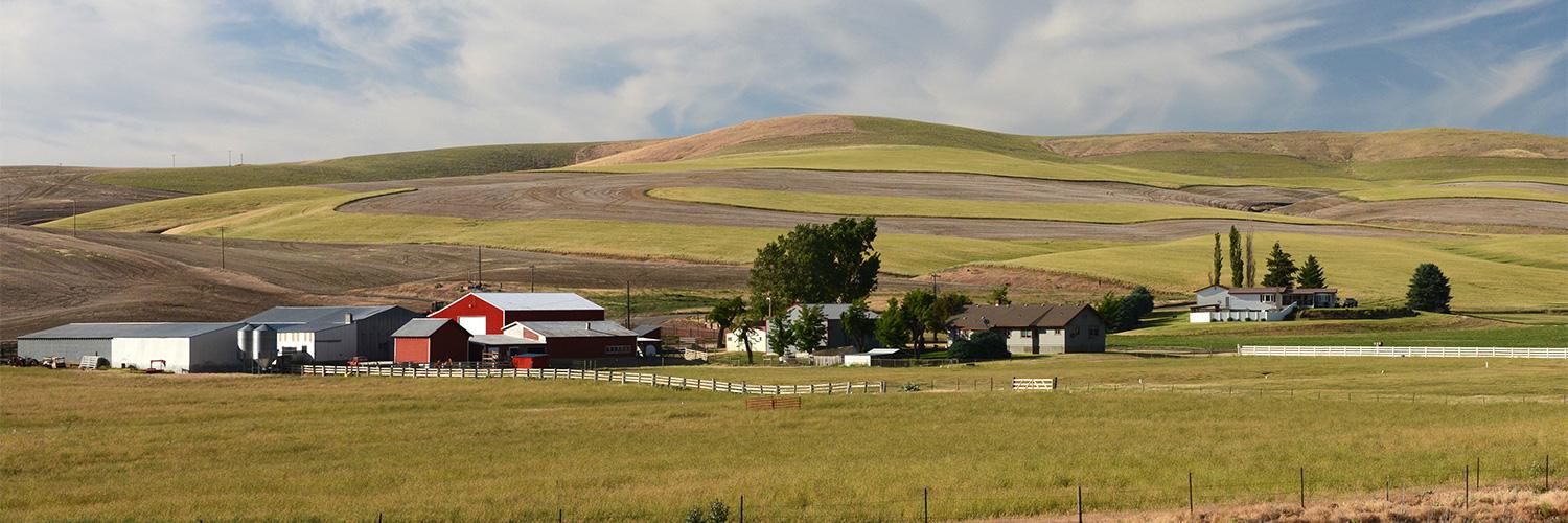 RCGFarmWise's profile banner image