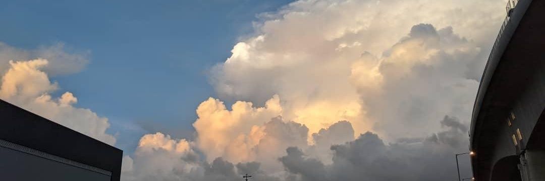 thyy09's profile banner image