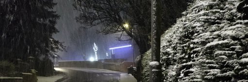 veronica_25's profile banner image