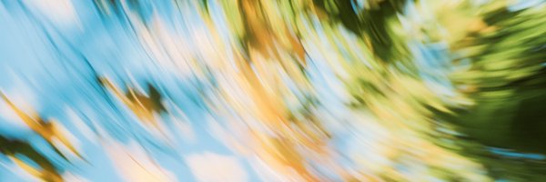 juanbuis Profile Banner