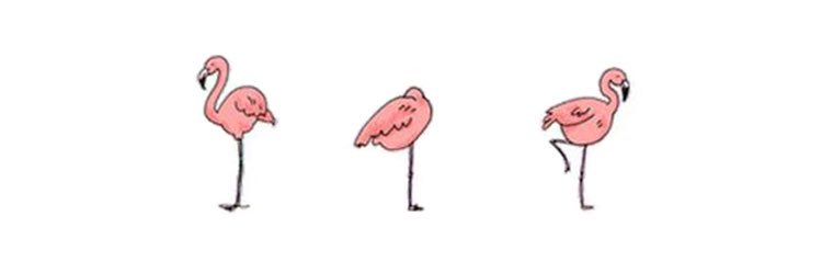amandaau1996's profile banner image
