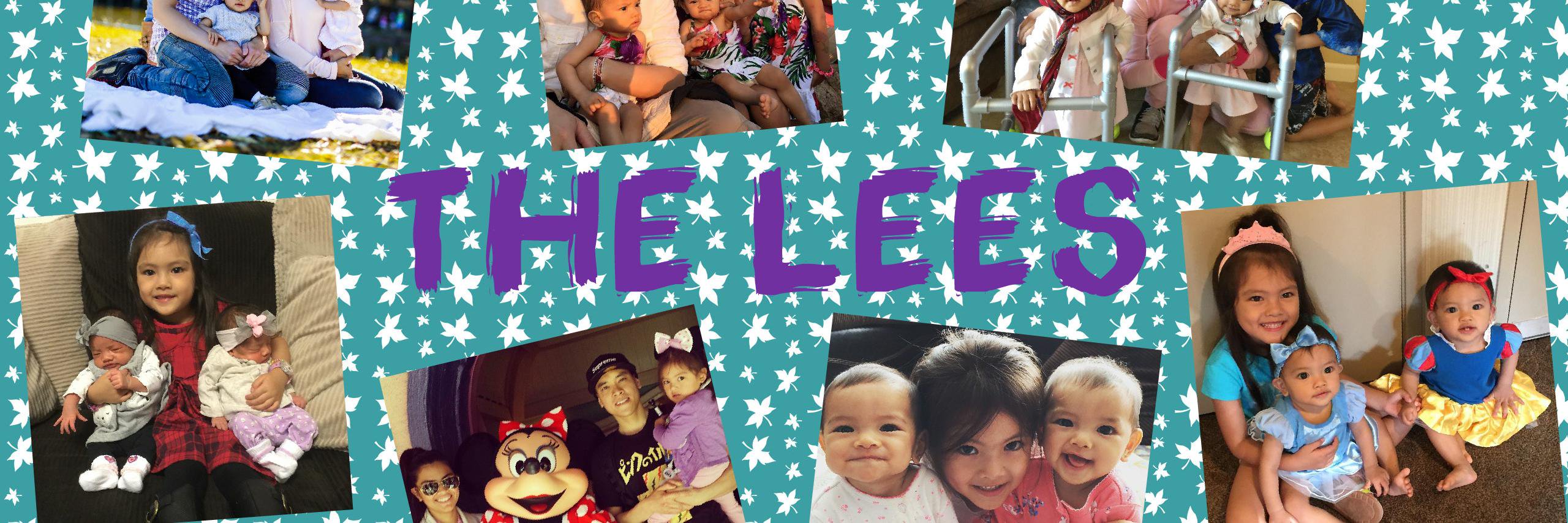 char_f_lee's profile banner image