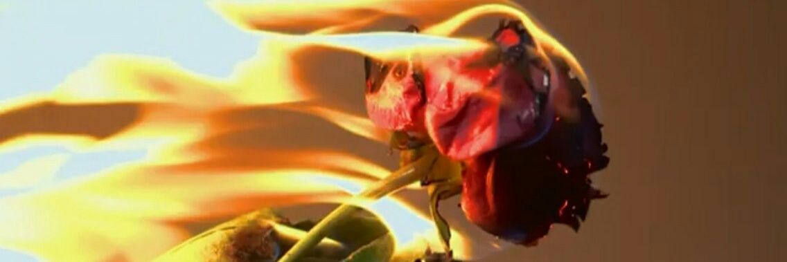 hey___PEACH's profile banner image
