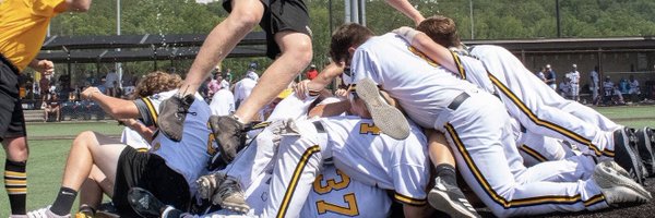 TheCanesBB Profile Banner
