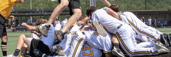 Canes Baseball Profile Banner