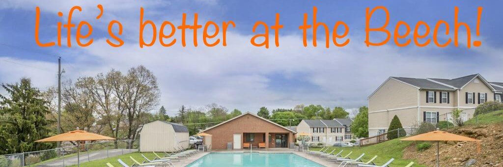 Copper Beech Radford banner