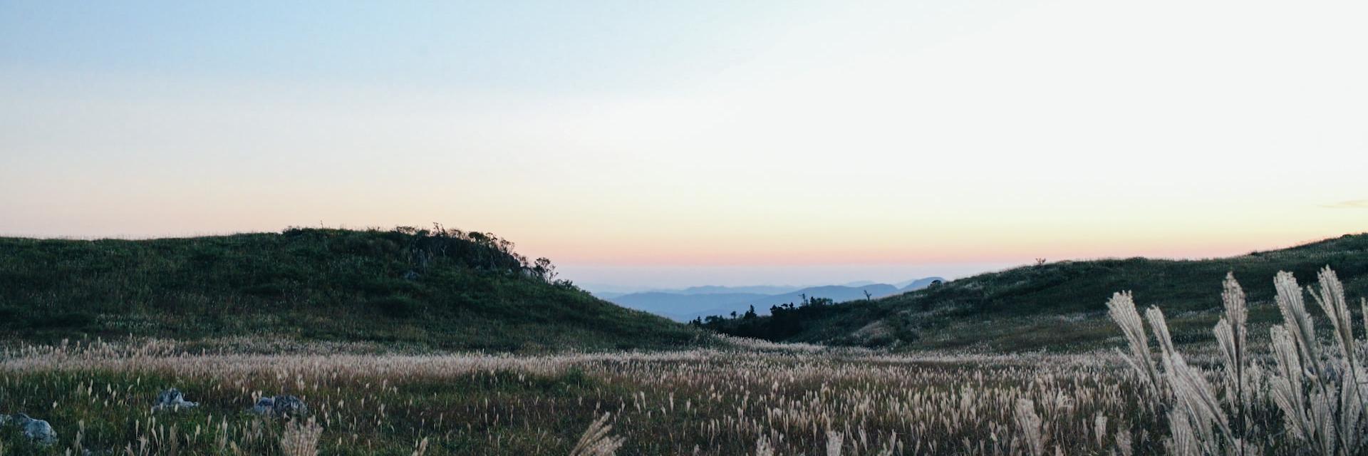 MUJIHUT's profile banner image