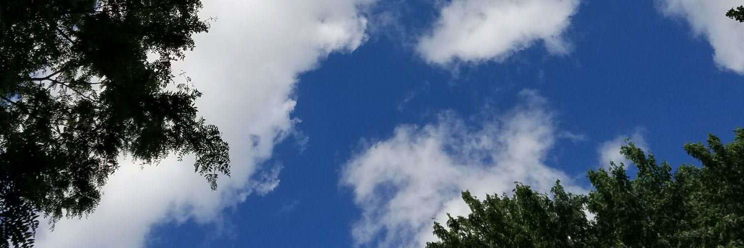 AlexrMcElroy's profile banner image