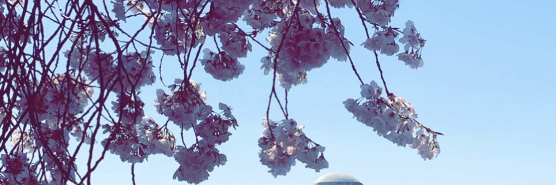 memimohammed's profile banner image