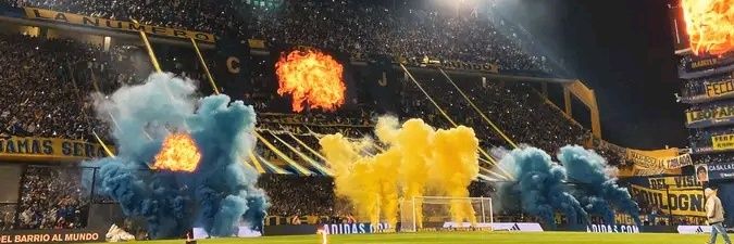 Delfina banner