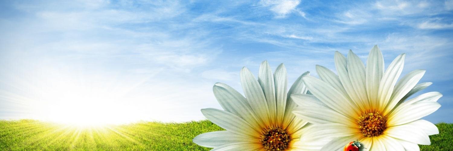 MissNoks11's profile banner image
