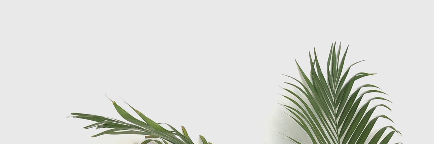 iillimi's profile banner image