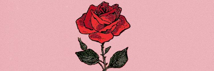 Deliia_m's profile banner image