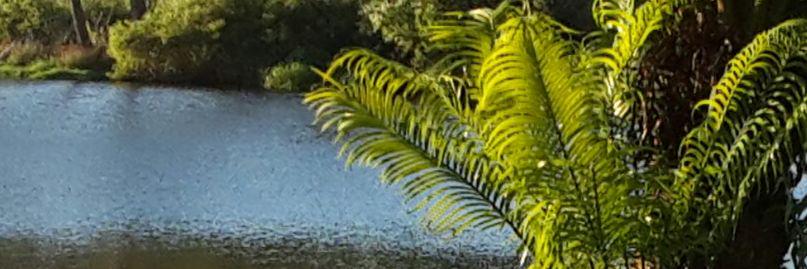 soekerdotcom's profile banner image