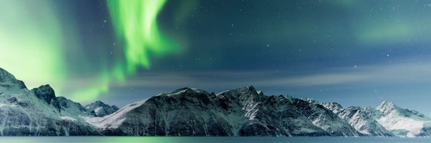 TalkingTerpenes's profile banner image