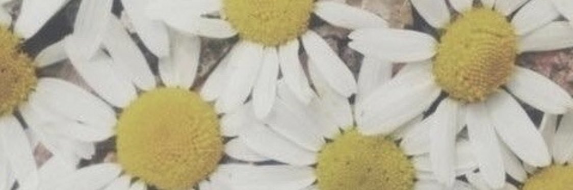 KatieLJohnson_'s profile banner image
