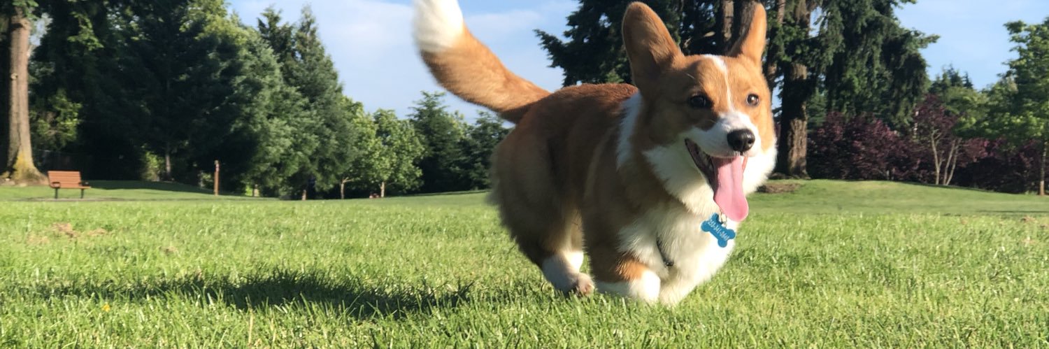 TUBBrianMiller's profile banner image