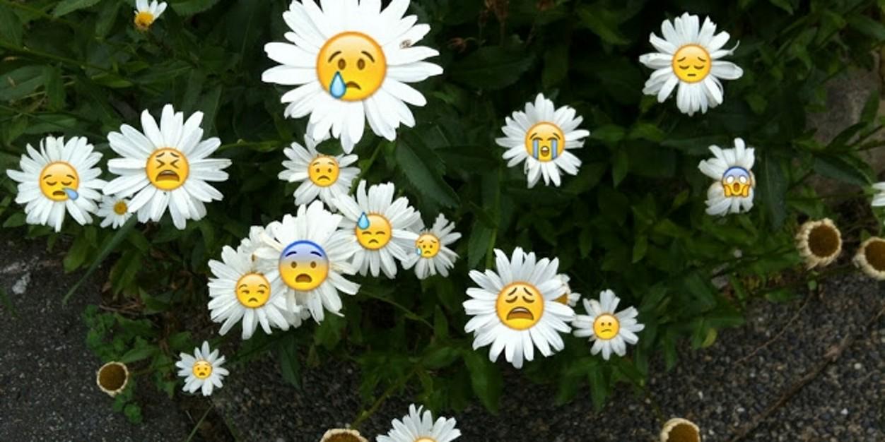 Jimenaaabs's profile banner image