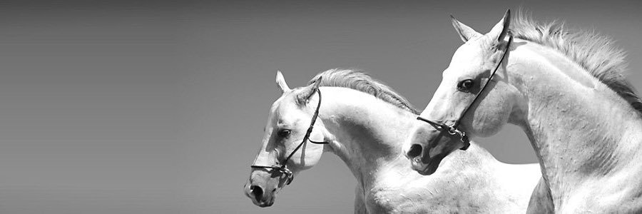 Dabaan1's profile banner image
