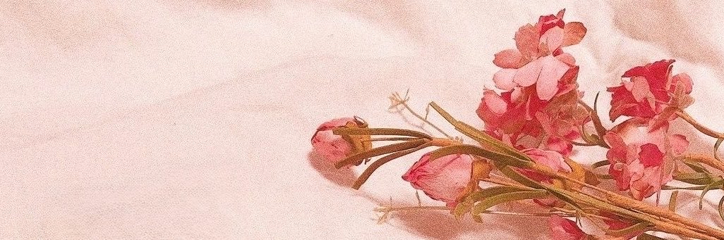 _altsies's profile banner image