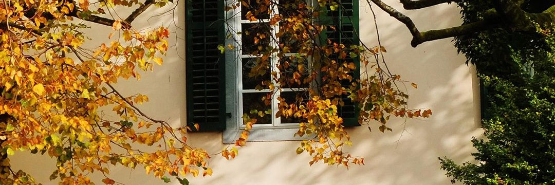 alkaser846's profile banner image