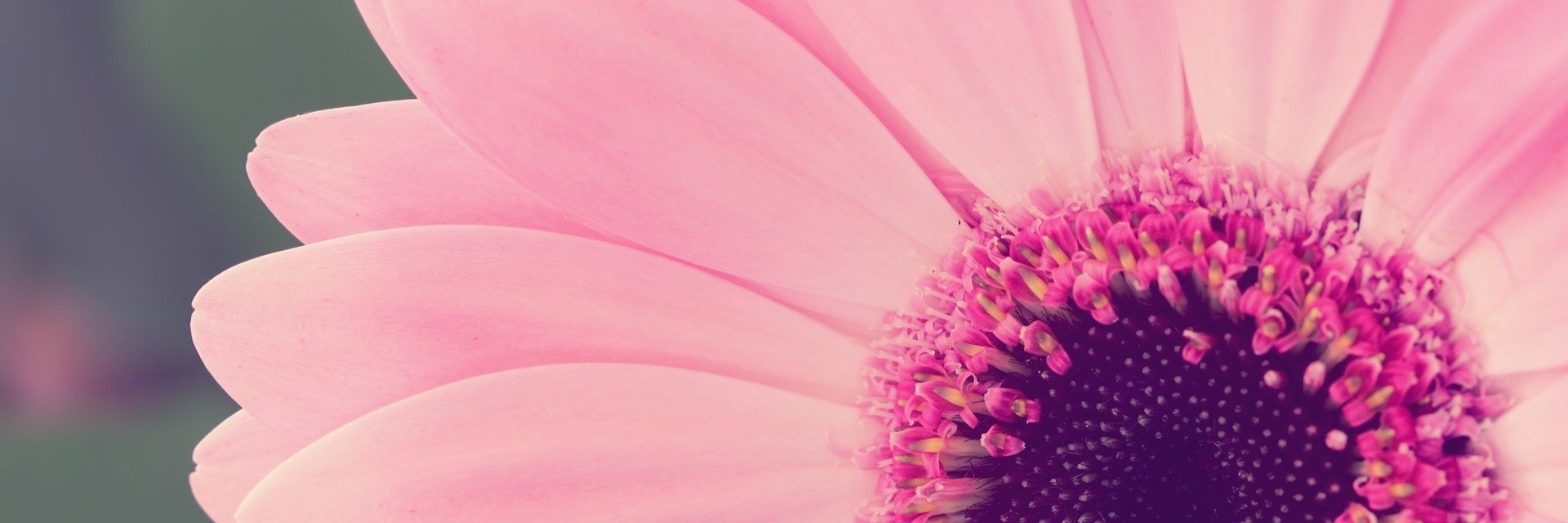 kwsipio's profile banner image
