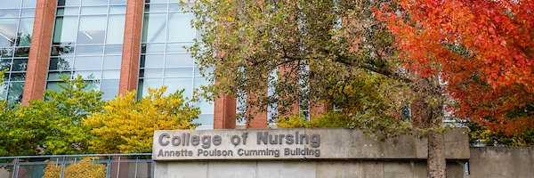 U of Utah Nursing banner