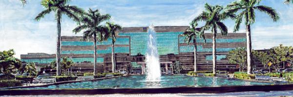 LuisLaraMD Profile Banner