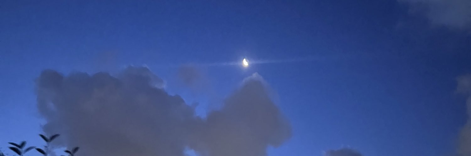 steezy_cv's profile banner image
