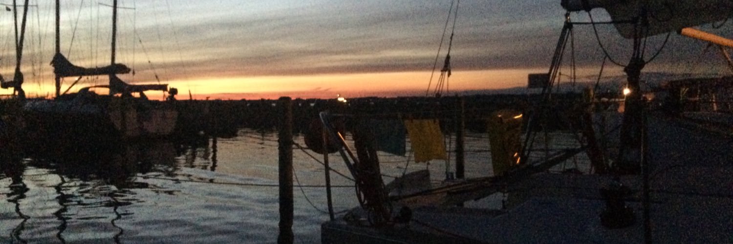 Alke Elisabeth Voss banner