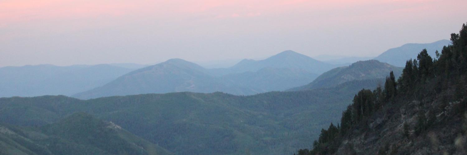 Maddisonjayy's profile banner image
