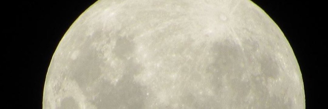 Prof_Vinicius's profile banner image