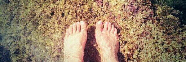 imanolex Profile Banner