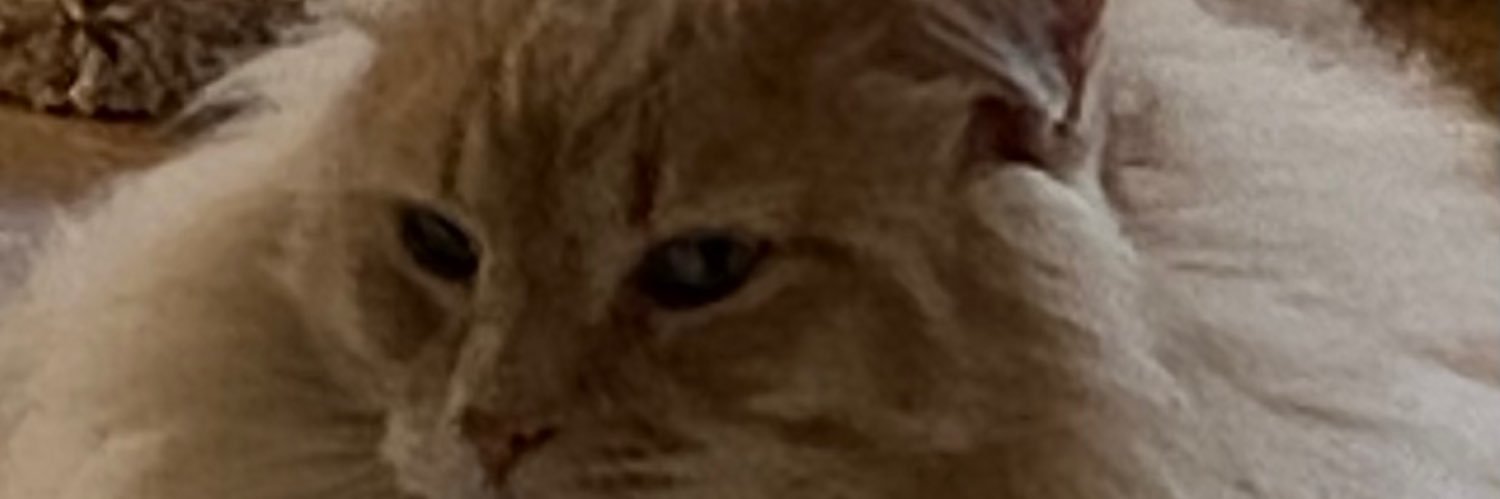 wuzner's profile banner image